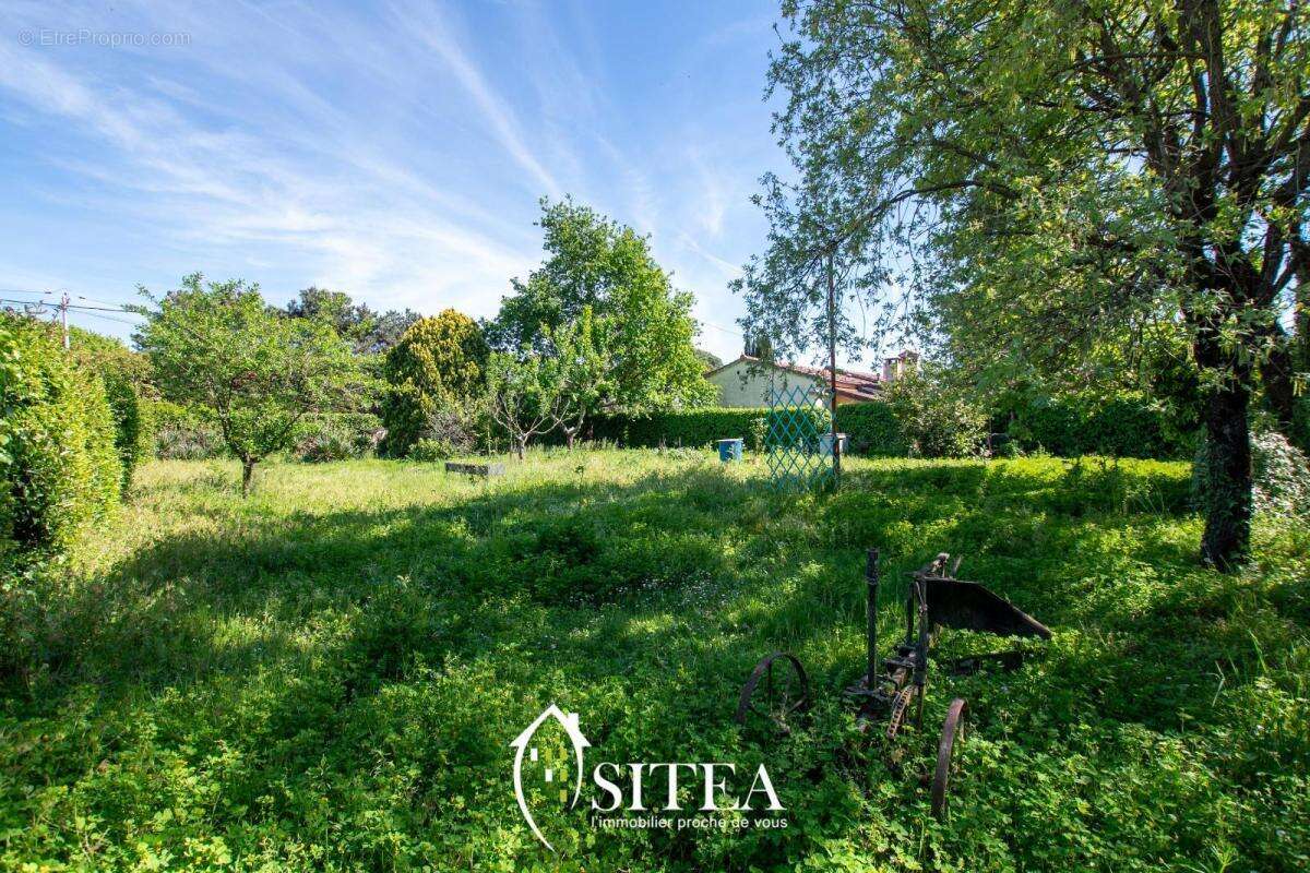 Terrain à COLOMIERS