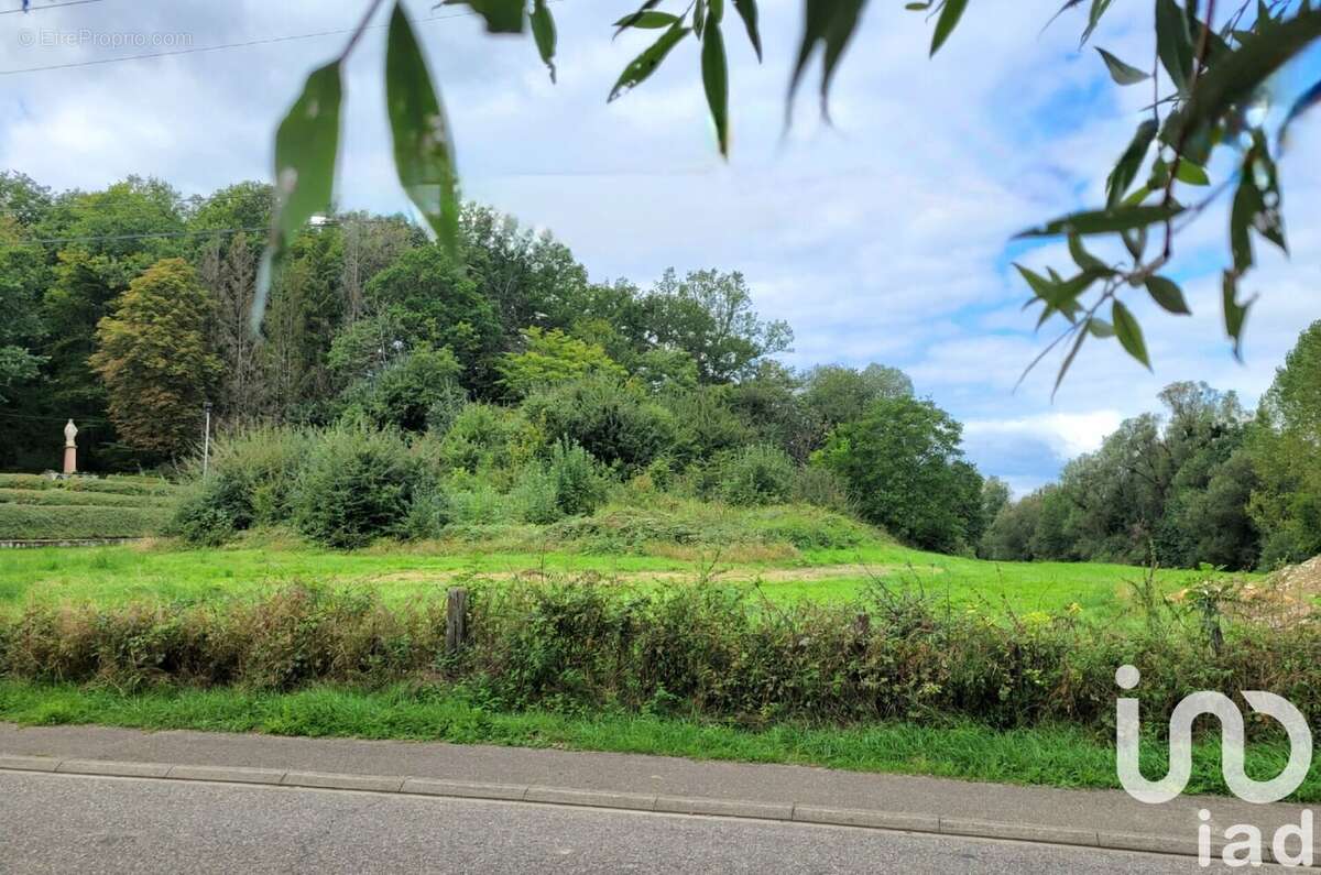 Photo 4 - Terrain à HUNDLING