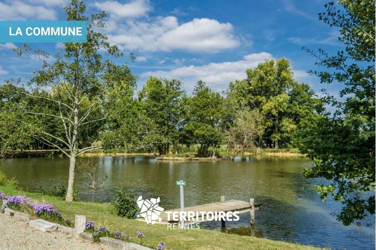 Terrain à LA CHAPELLE-THOUARAULT