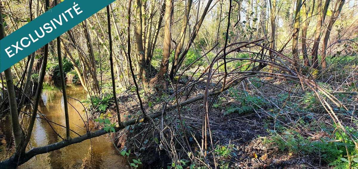 Photo 2 - Terrain à DOL-DE-BRETAGNE