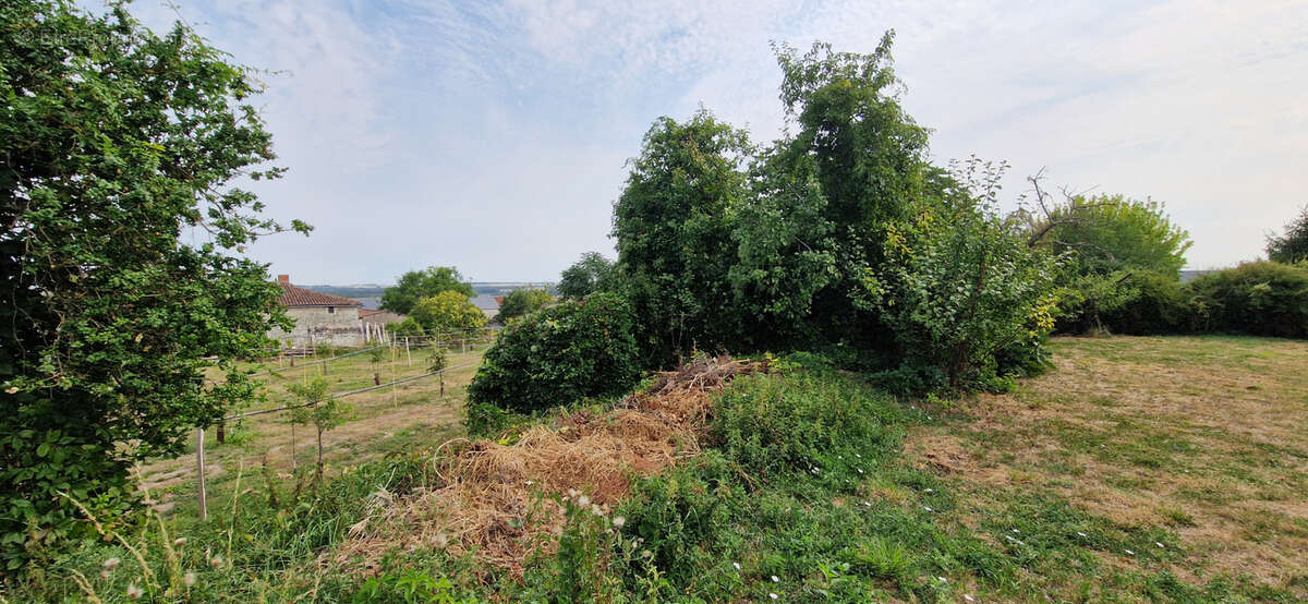 Autre à FAYE-LA-VINEUSE