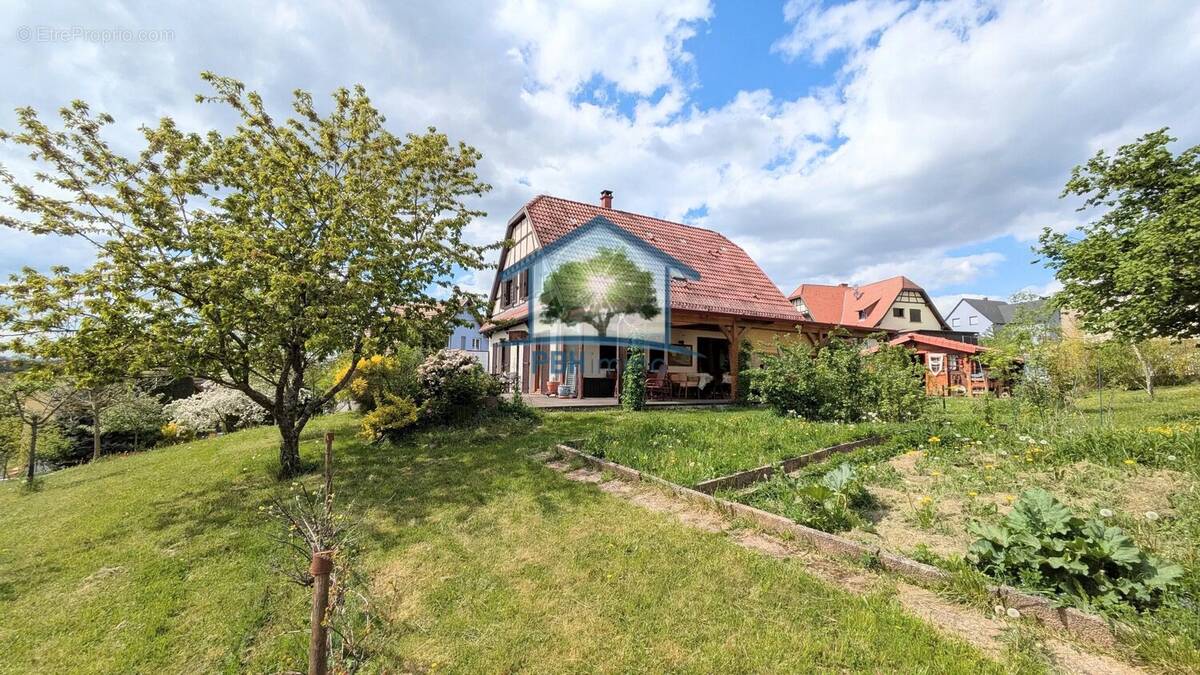 Maison à MENCHHOFFEN