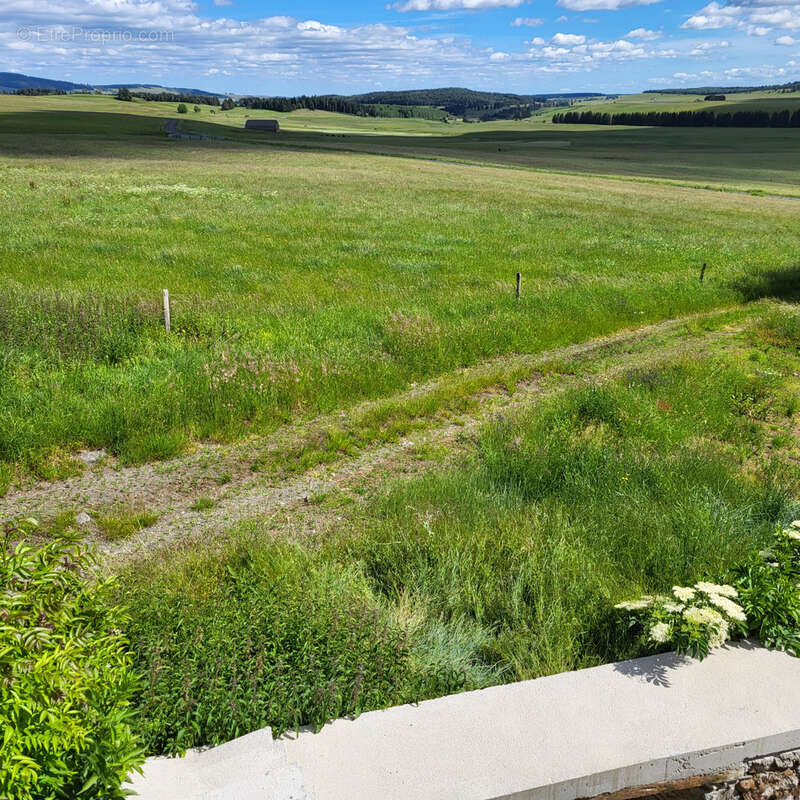 Maison en pierres avec ancienne grange - photo 34
