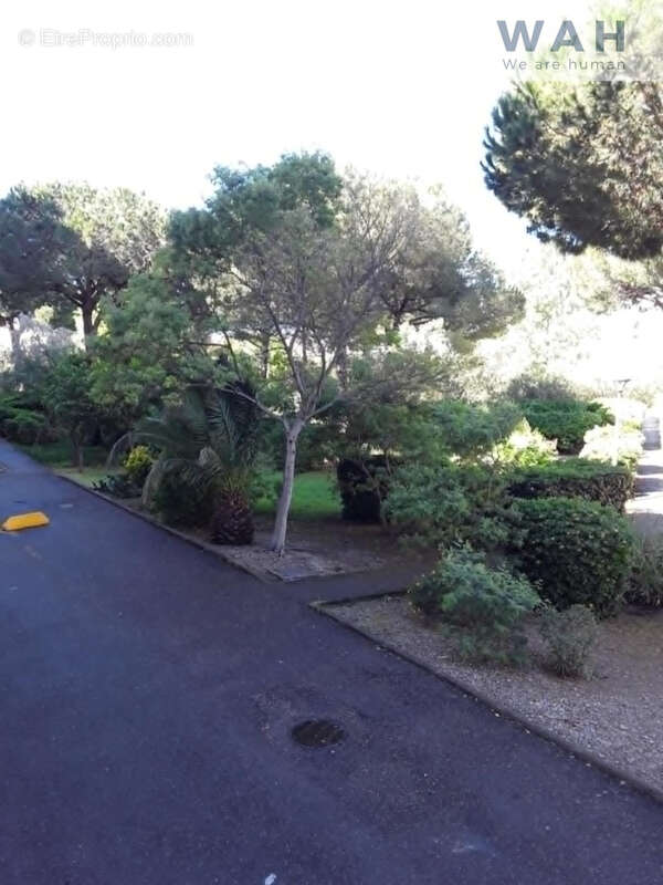 Appartement 3 pieces 46 m2 avec loggia et parking 30240 le grau du roi - photo 3