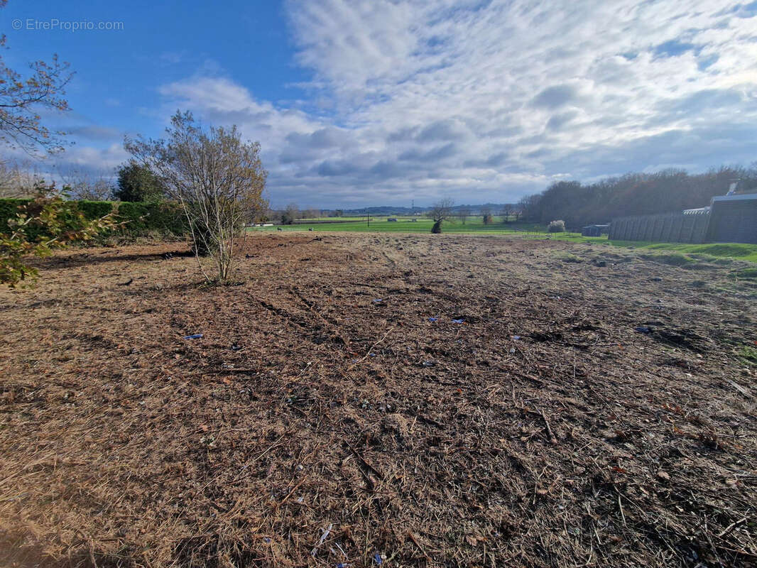 Terrain à SAINT-CIERS-DU-TAILLON