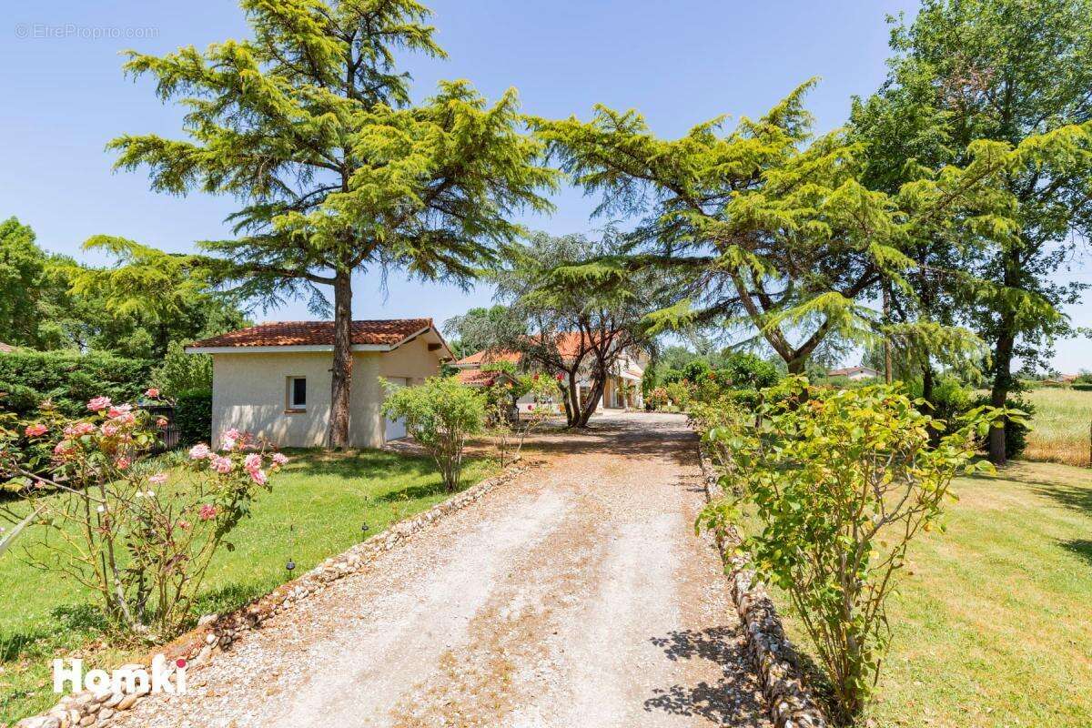 Maison/Villa T6 de 180 m2 à La Magdelaine-sur-Tarn 31360 - photo 16