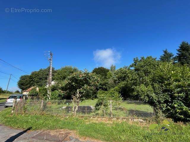 Terrain à TREIGNAC