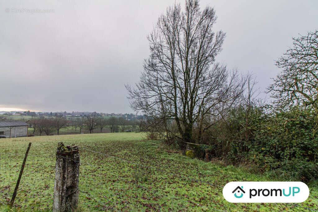 Terrain à THIVIERS
