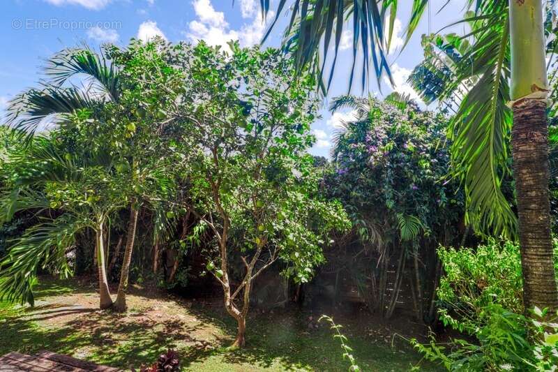 Maison à LES TROIS-ILETS