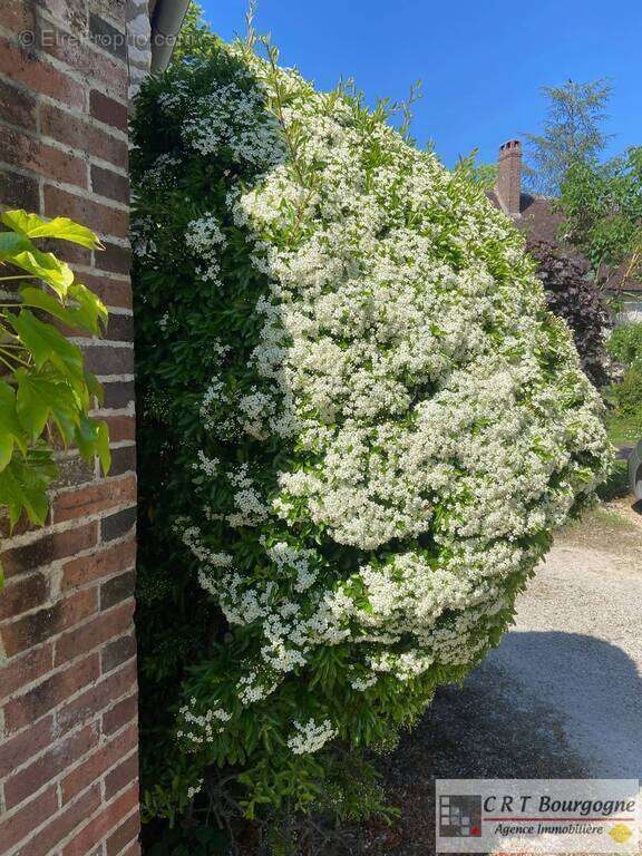 Maison à SAINT-MAURICE-LE-VIEIL