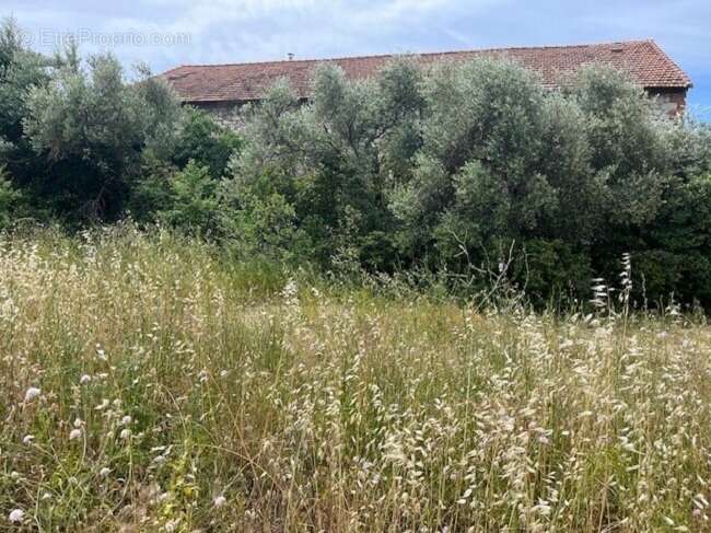 Terrain à PLAN-DE-CUQUES