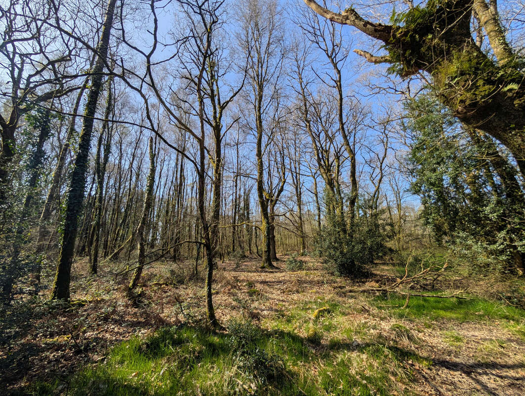 Terrain à CAMPENEAC