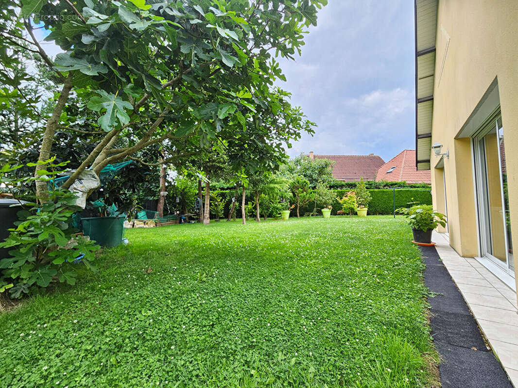 Maison à MESNIL-RAOUL