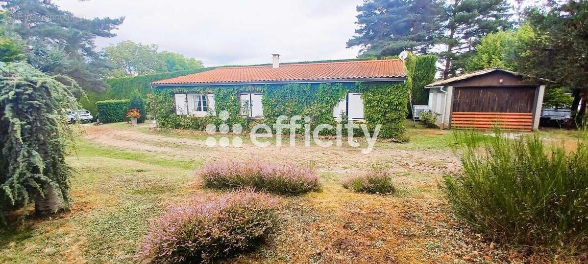 Maison 87 m² à Anglards-De-Saint-Flour  - photo 14