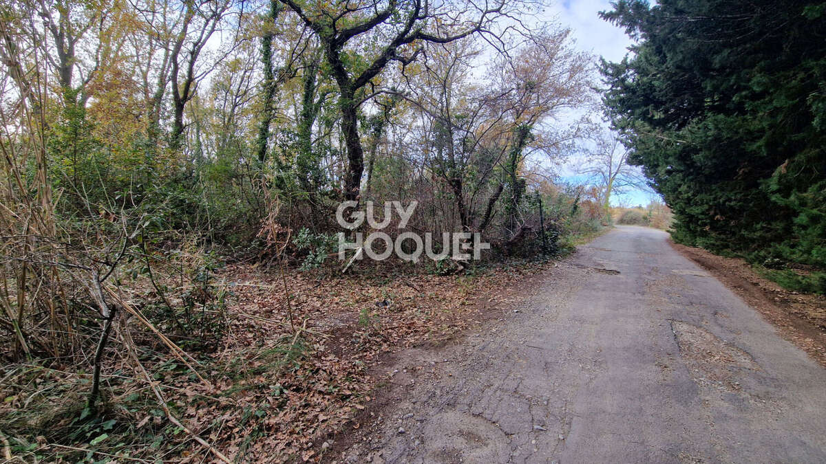 Terrain à TOULOUGES