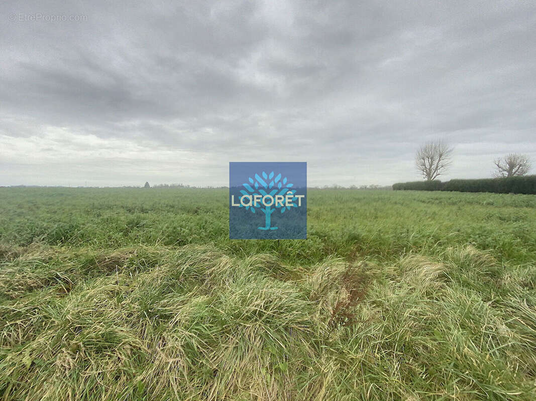 Terrain à SAINT-GEORGES-DU-VIEVRE