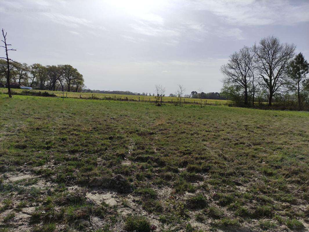 Terrain à YGOS-SAINT-SATURNIN