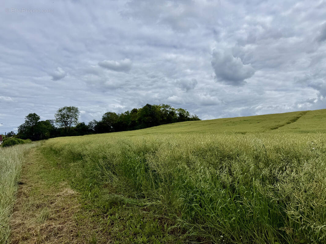 Terrain à LIREY