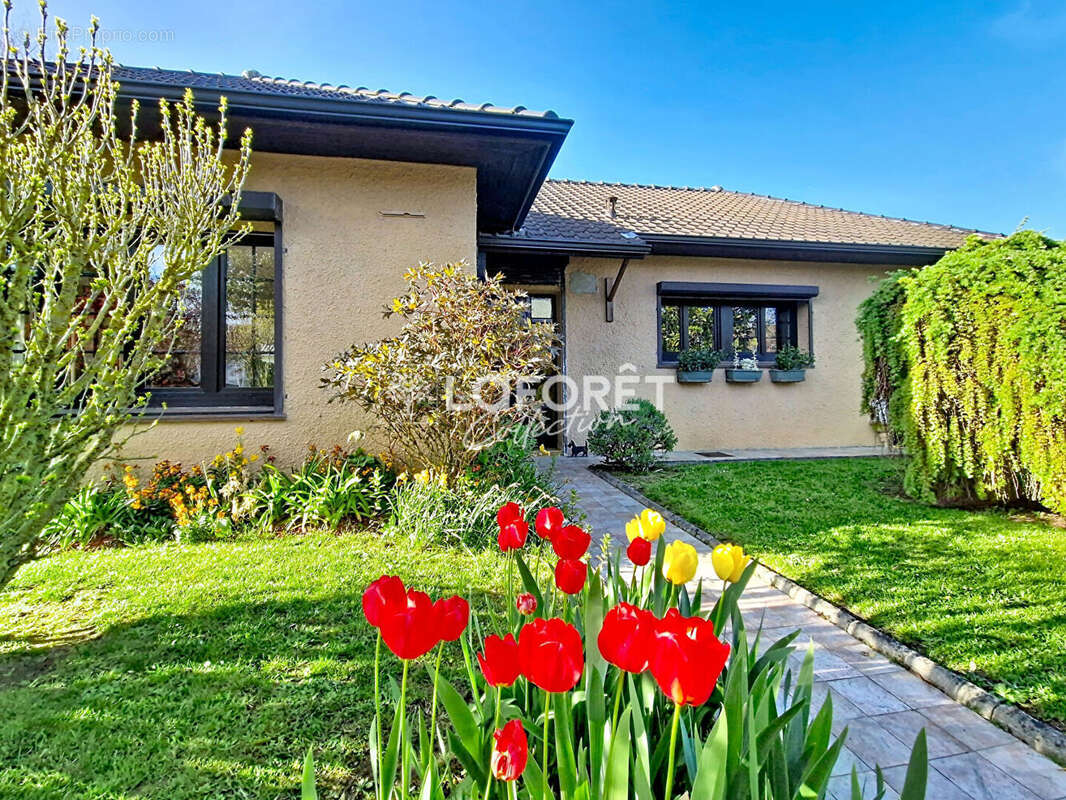 Maison Habitable de plain-pied - photo 14
