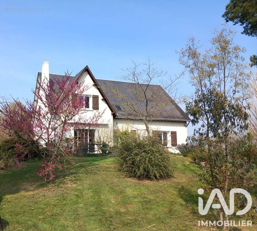 Photo 1 - Maison à CHAUMONT-SUR-LOIRE
