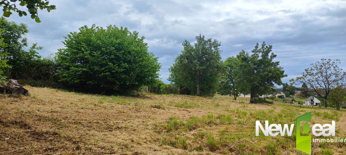 Terrain à DONZENAC
