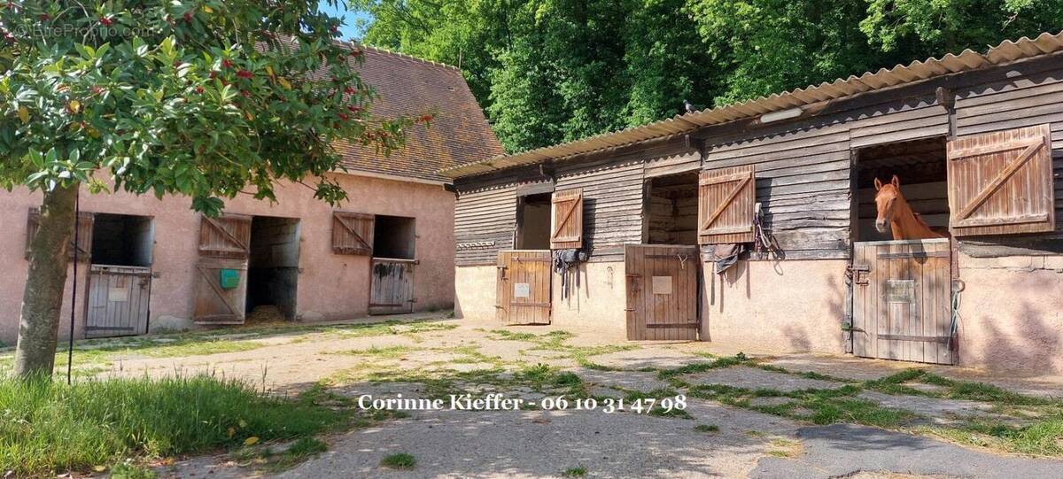 Maison à BETHEMONT-LA-FORET
