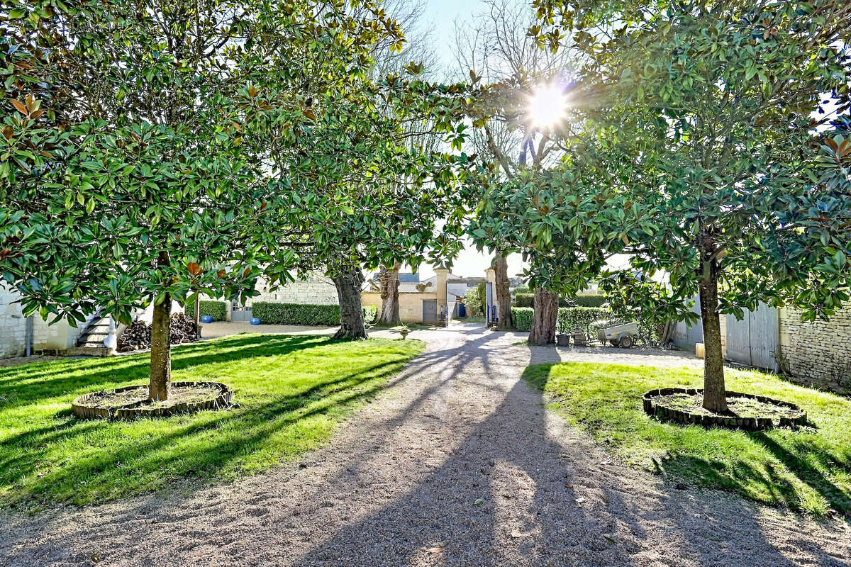 Maison à FONTEVRAUD-L'ABBAYE