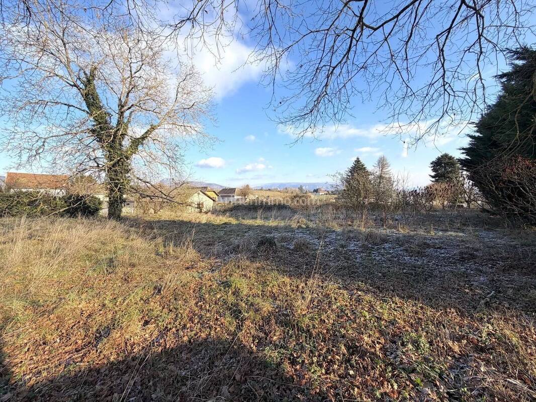 Terrain à CORBELIN