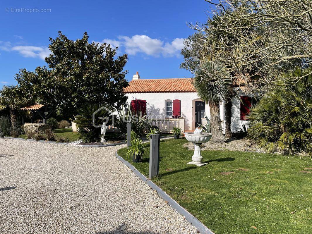 Maison à LE FENOUILLER