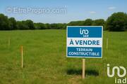Photo 1 - Terrain à BESNE