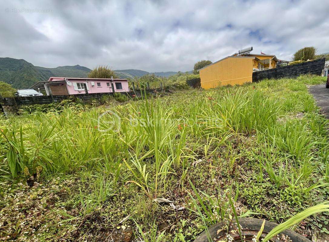 Terrain à LA PLAINE-DES-PALMISTES