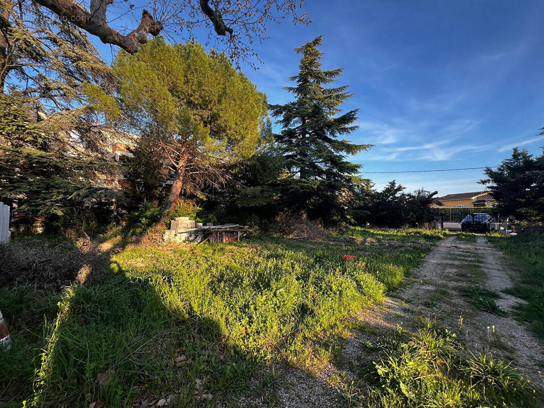 Terrain à CAVAILLON