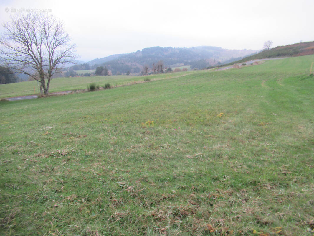 Terrain à LE LAC-D&#039;ISSARLES