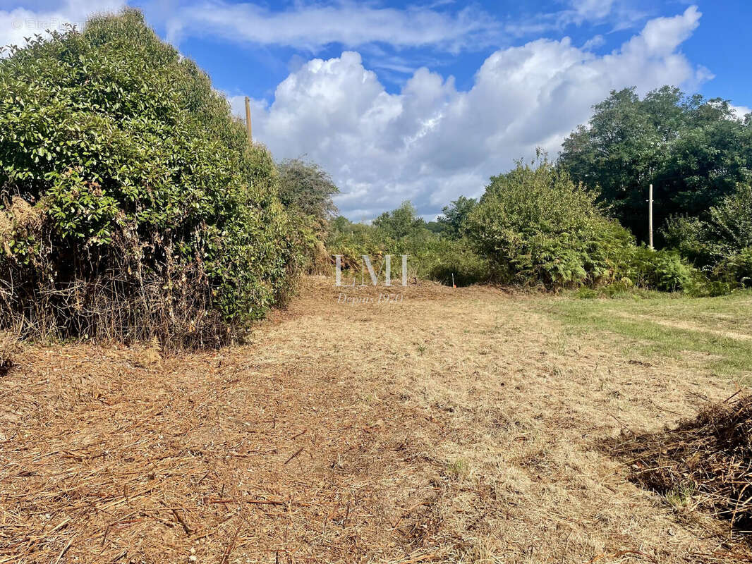 Maison à LOCOAL-MENDON