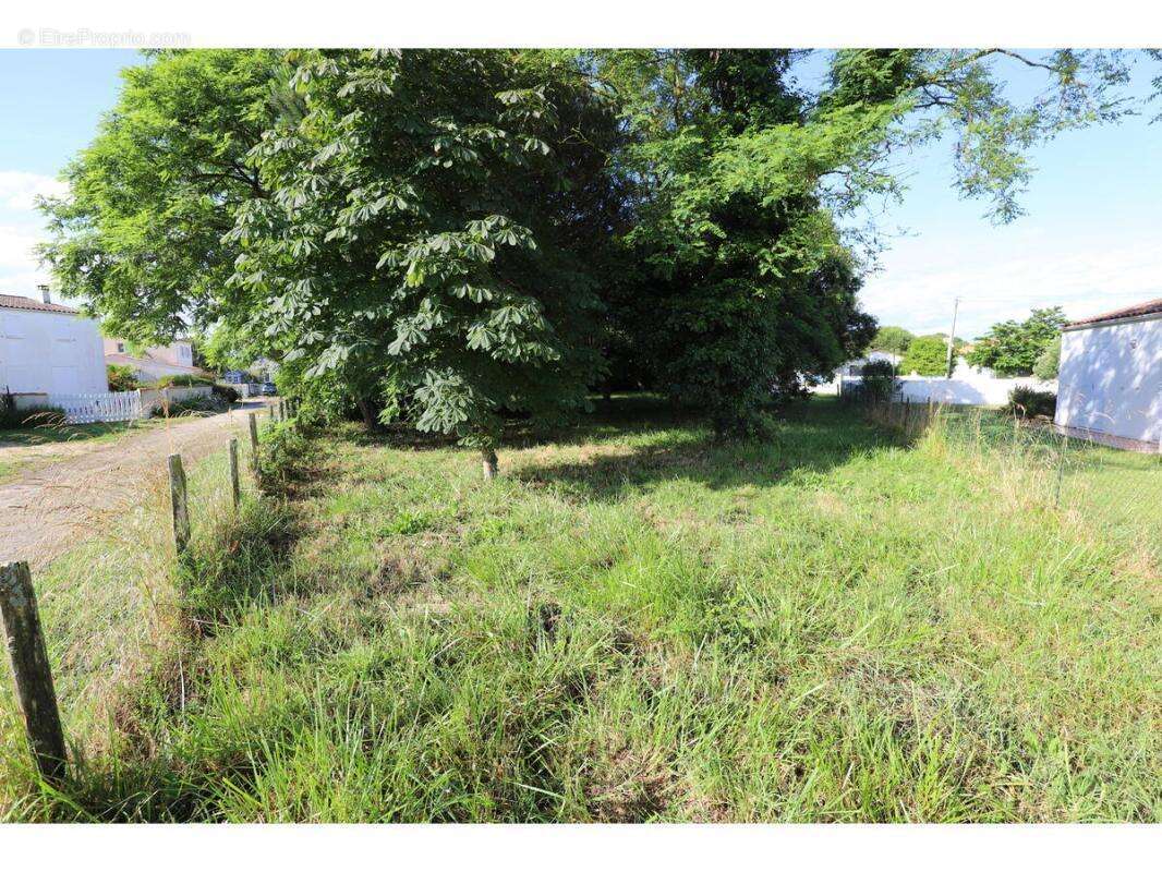 Terrain à SAINT-GEORGES-D'OLERON