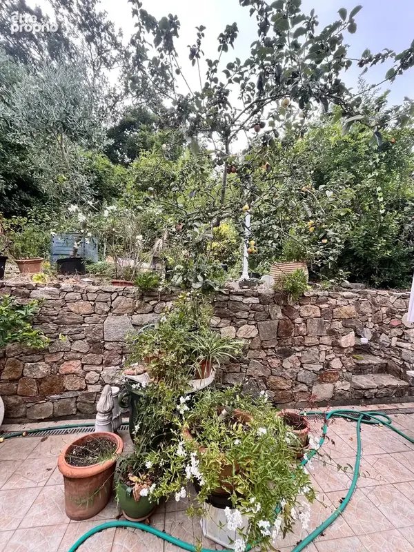 Maison au pied de Grimaud - photo 8