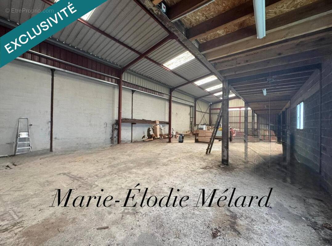 Photo 1 - Appartement à MANGIENNES