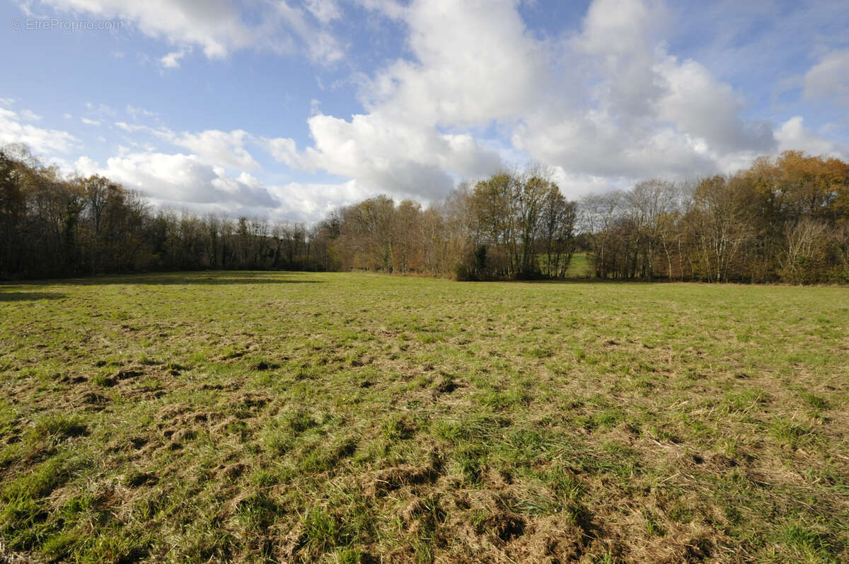 Terrain à VICQ-SUR-BREUILH