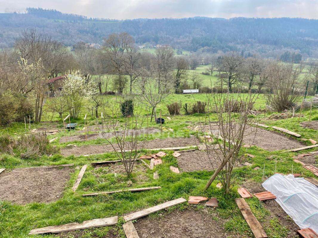 *** exclusivite *** grande maison avec terrasses, dependances et potager *** st dier d'auvergne 63520 *** - photo 20