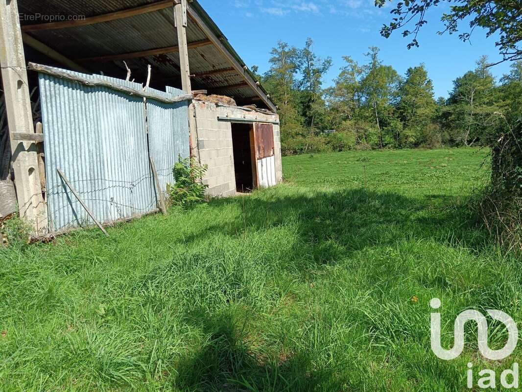 Photo 8 - Maison à SAINT-LEGER-SUR-VOUZANCE