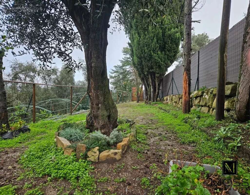 Maison à BERRE-LES-ALPES