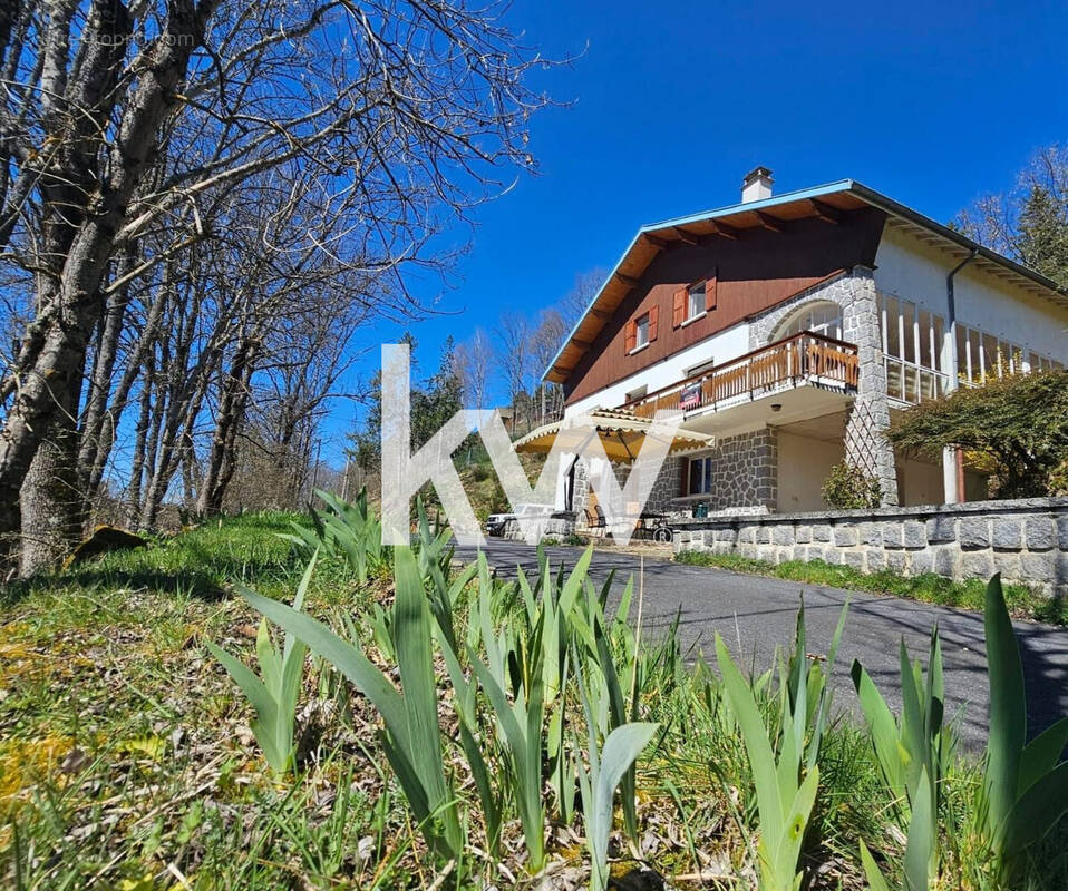 Maison 224 m² à Dunieres  - photo 3