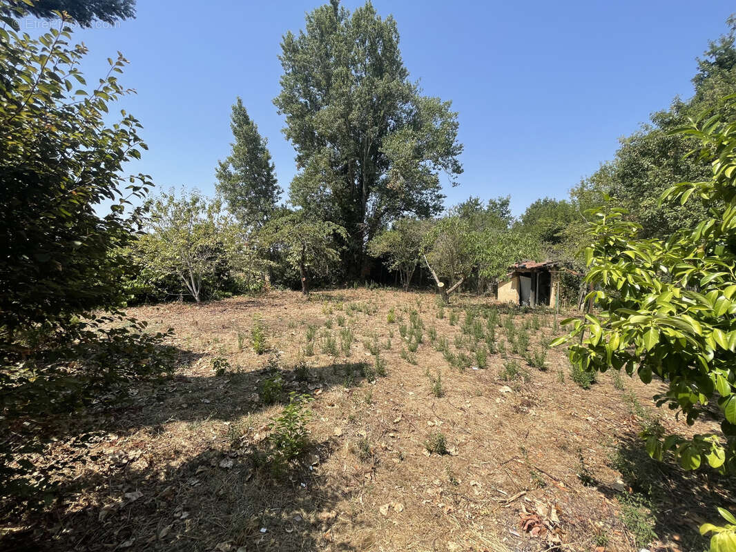 Maison à VILLENEUVE-TOLOSANE