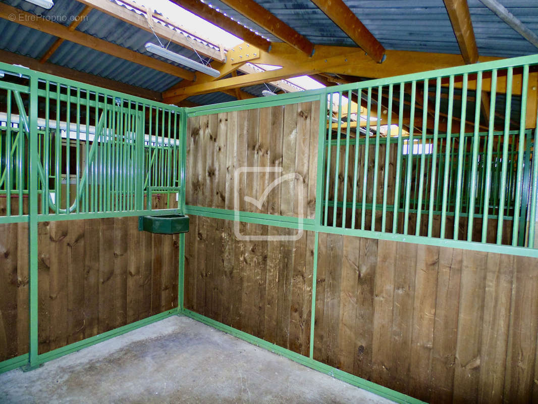 Maison à BRIVE-LA-GAILLARDE