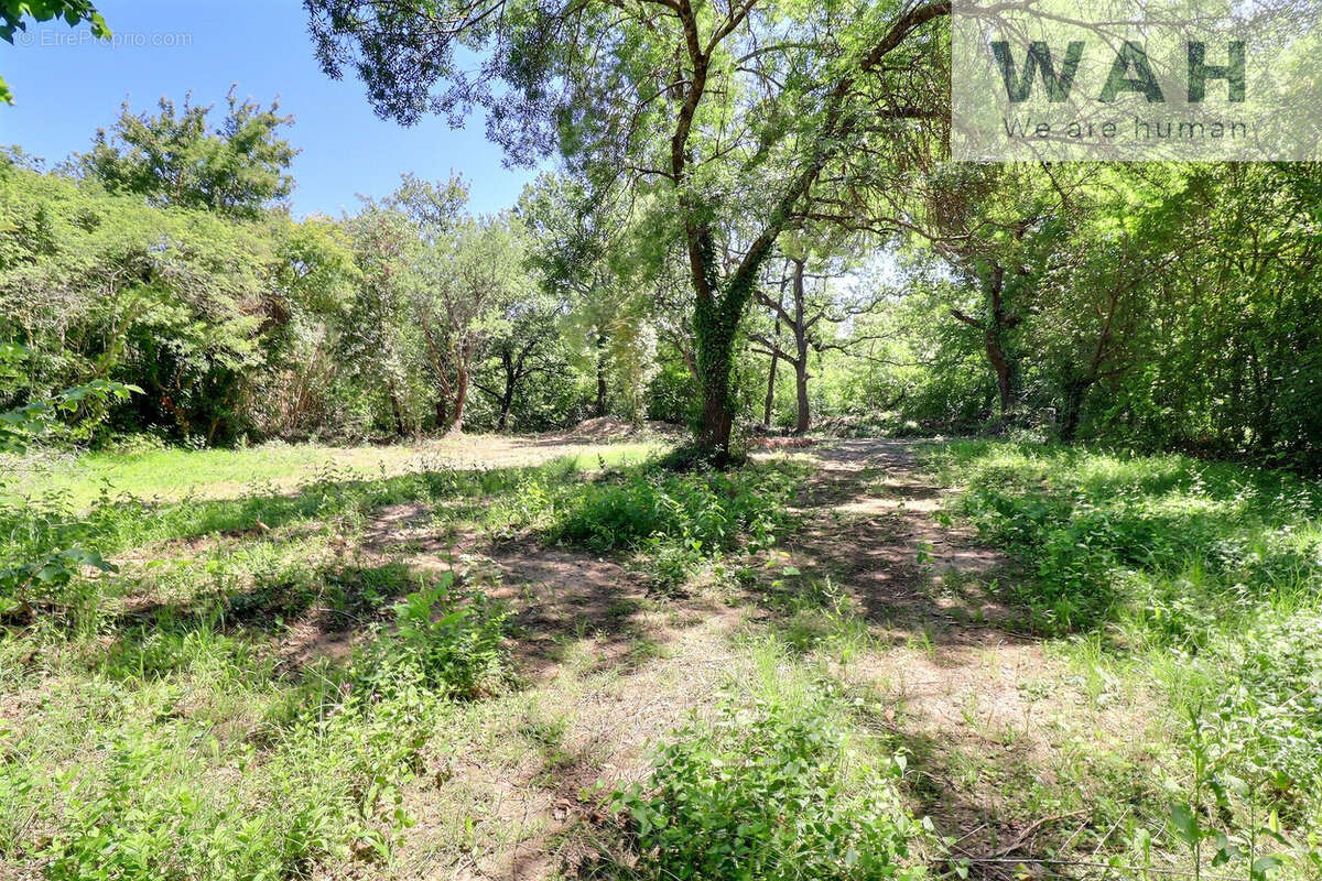  MAISON de PLAIN PIED 8P 162 m2 avec jardin 4531 m2 à Fontanes 30250 - photo 8