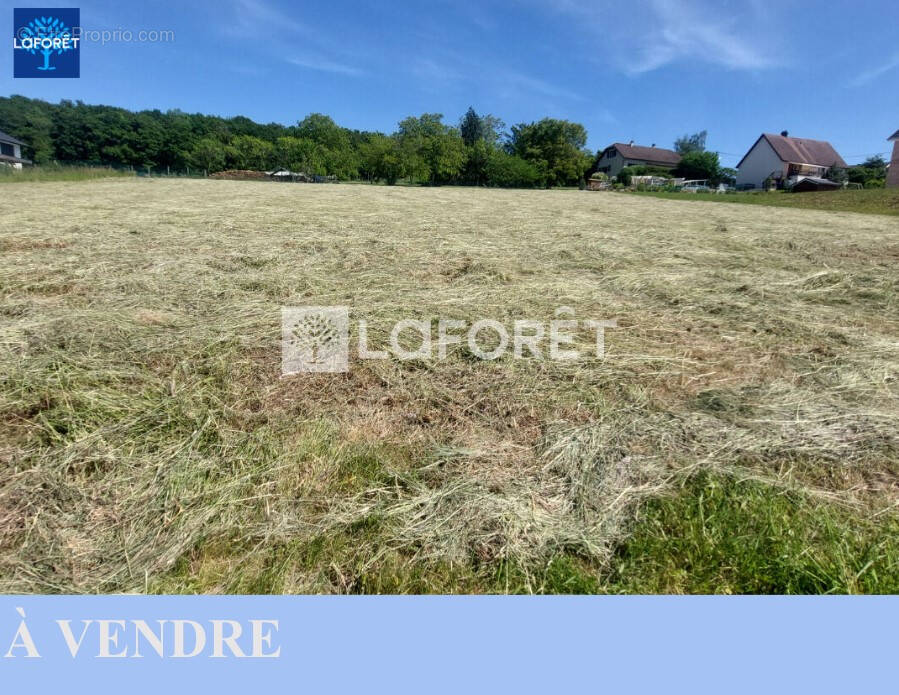 Terrain à MONTBOUTON