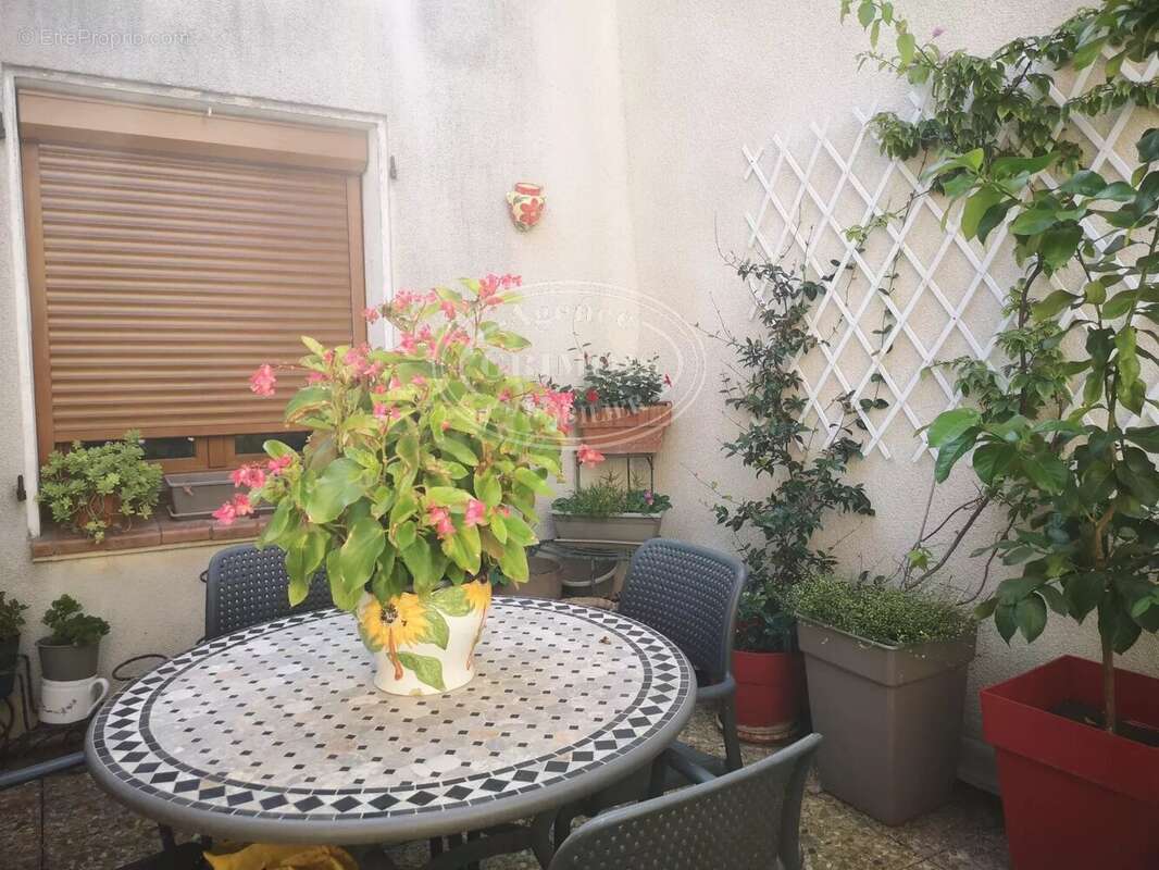 DOUZENS Maison de village de 150 m² env. / TERRASSE de 17 m² - photo 4