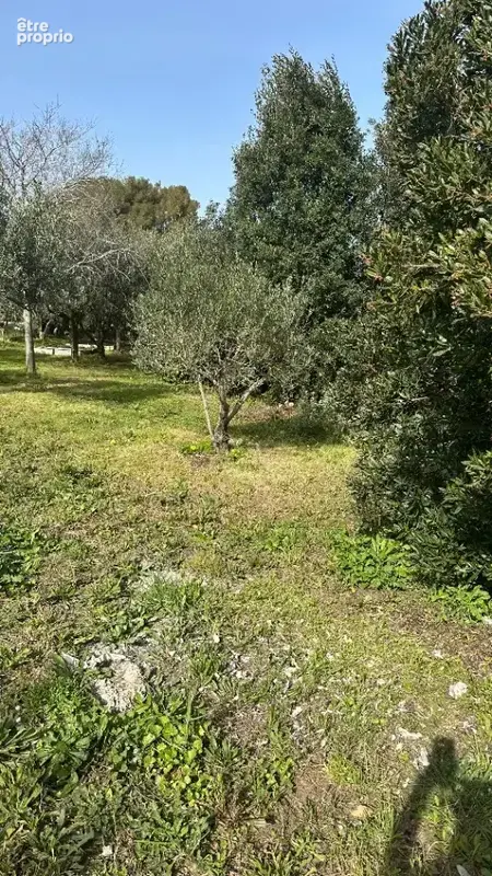 Terrain 1 241 m² à vendre à Hyeres (83400) - photo 4