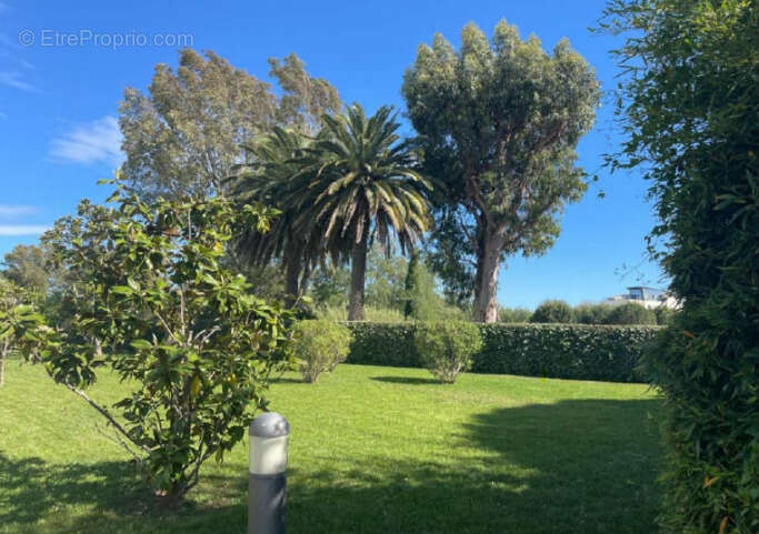 Appartement à MANDELIEU-LA-NAPOULE