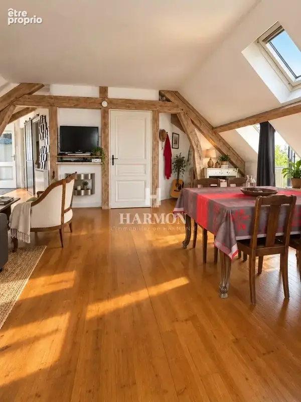 HARMON A VENDRE : Appartement de charme avec deux grandes terrasses à Salies-de-Béarn - photo 7